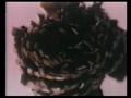 Diana Ross - Upside Down (1980)