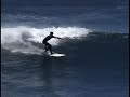 big chile - punta lobos