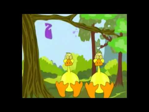 Mpb international, O pato