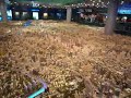 Shanghai Urban Planning Exhibition Center (?????????)