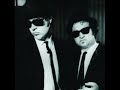 Click here to watch this video Blues Brothers Band Hand To Handle