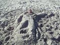 Stuck in the sand