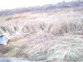LOOK AT THIS..(fort severn)