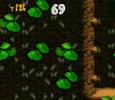 Donkey Kong Country - Coral Capers 