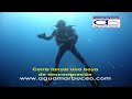 Buceo practico:Lanzamiento de boya (aguamarbuceo.com) Buceo practico:Lanzamiento de boya (aguamarbuceo.com)