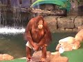 Animal Planet at Universal Studios Florida Animal Planet at Universal Studios Florida