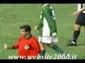 EL ARBITRO GAY