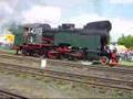 Wolsztyn Parada Parowozów 2008 Steam Locomotives Parade 2008
