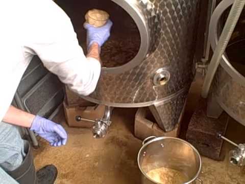 how to harvest yeast from a fermenter