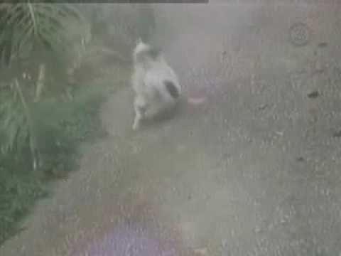 Παιδεία 1969 - Παιδεία 2009 - FunnyStuff.gr Παιδεία 1969 - Παιδεία 2009 - FunnyStuff.gr