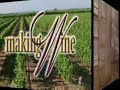 Making Wine