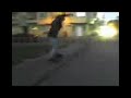 manual + 50-50 +intento de bs 180 ollie