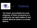 Creation Nugget #4 Creation Nugget #4