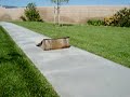 rc-car-stunt-2.html