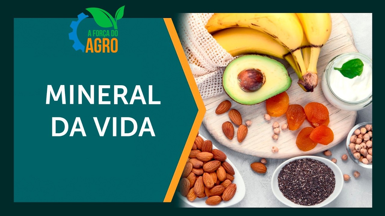 Magnésio: o mineral essencial que mantém seu corpo funcionando