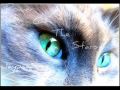 Jaypaw Themes