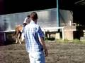littho en clase de equitacion 5