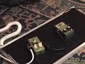 DOD 250 Preamp guitar pedal shootout DOD 250 Preamp guitar pedal shootout