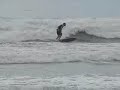 SPA DOG COMPANY - SURF SESSION