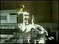 A parrot sprinkled urine to a cat.