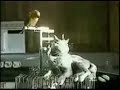 A parrot sprinkled urine to a cat.