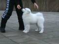 videos de Wendy 3 months old black girl