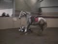 chute de cheval