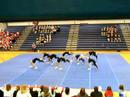 Back Face Spring. Back Face Spring.
