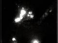 Bioluminescence in the Porcupine Seabight 2