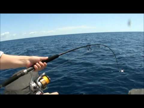Jigging - http://www.reefari.com Jigging with the new Berkley Elevator jigs was well worthwile out on a recent fishing trip, hooking 3 absolute monsters on one shoal, ...