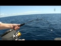 Jigging with new Berkley Elevator Jigs