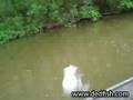 Lots o' Crappie