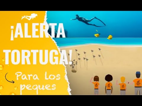 Imagen de previsualización de YouTube