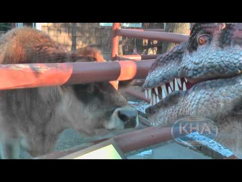 Kojo goes to the Zoo! Animatronic Dinosaur for Hire. Kojo goes to the Zoo! Animatronic Dinosaur for Hire.