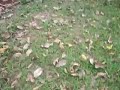 12.wmv