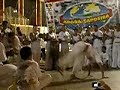 Mestrando Pernilongo Mestrando Pernilongo