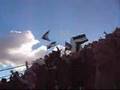 La mejor hinchada, PLATENSE