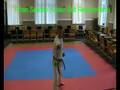 Daikento Shukokai Pinan Katas