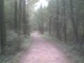 videos de Misha Manny Shamanic Meditation Journey.wmv