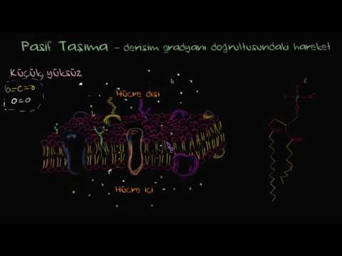 FİZYOLOJİ - HÜCRE ZARINDA TAŞIMALAR
