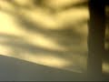 Escena desesperada de un momento increiblemente triste Escena desesperada de un momento increiblemente triste