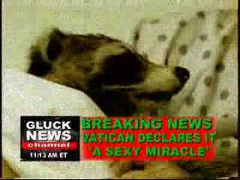 YouTube: Birth Of A Raccoon