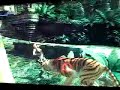 GamesConvention 2008 - Tomb Raider Underworld Gameplay GamesConvention 2008 - Tomb Raider Underworld Gameplay