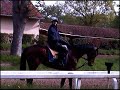 Entraînement équitation de courses Maisons-Laffitte