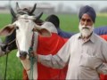 Nakke Mod Ke