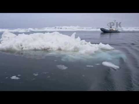 Alaskan Nataive thoughts on climate ...