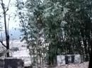 Our Mirik Journey