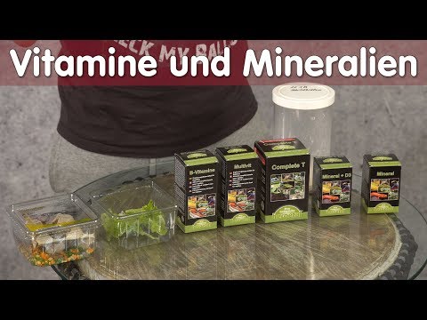 Reptil TV - Technik - Vitamine und Mineralien
