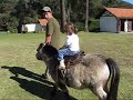 Poney's Bianca