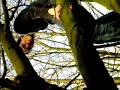 KinkFM in de boom
